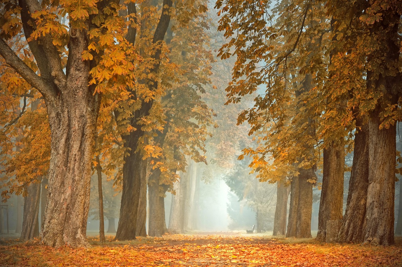 Veranda versierd met kleurrijke herfstbladeren